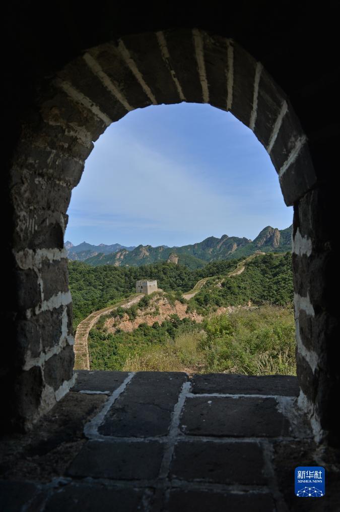 kone娱乐